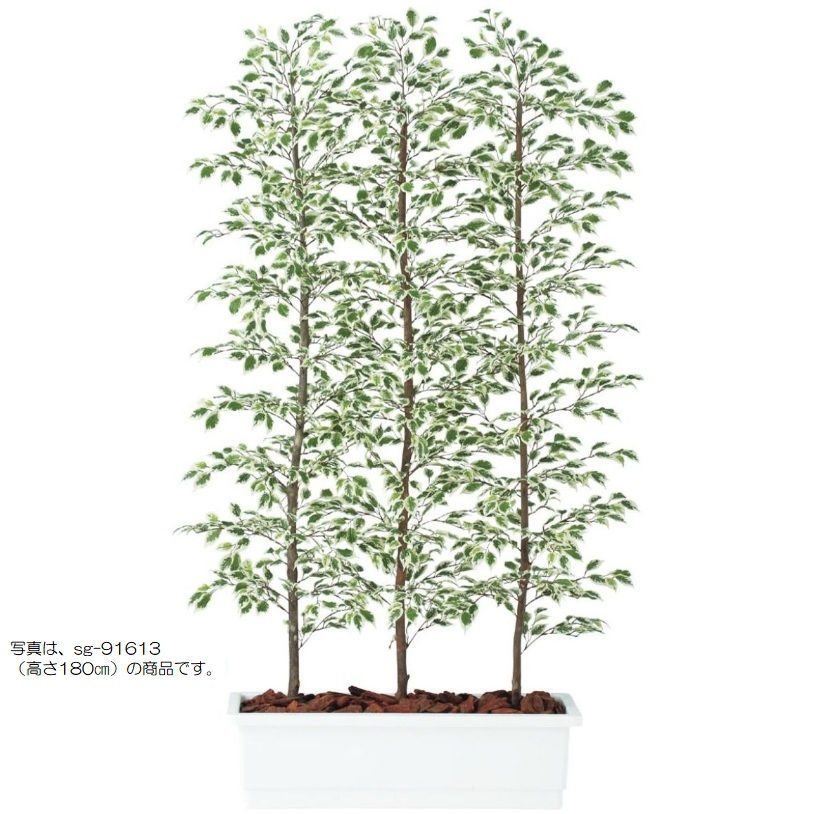 人工観葉草木 ベンジャミナスターライト 中仕切り 200 natural ポット付き添い人 高さ200糎 （P61-91612) （代引っ張ること不可） 室内装飾緑であること フェイクグリーン
