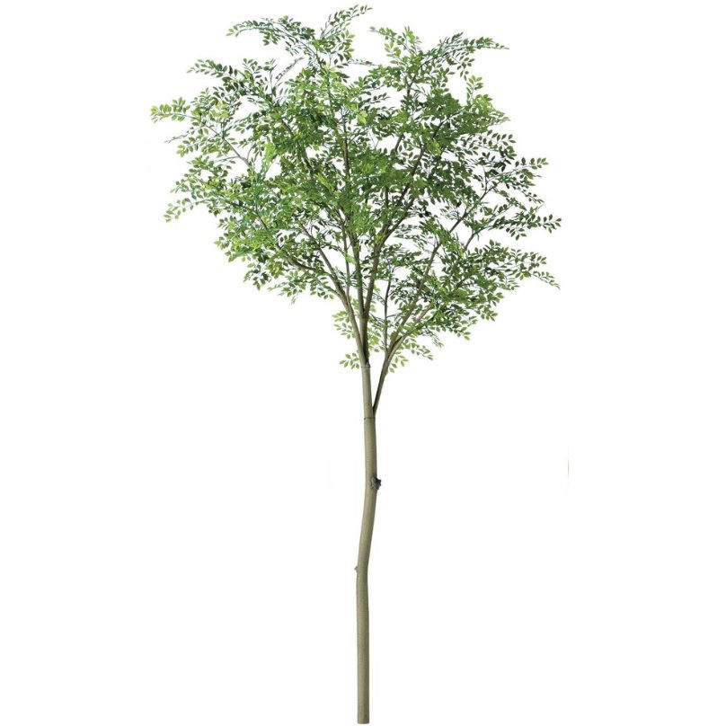 人工観葉植物 ゴールデンリーフ ４L スタイル FST ツリーベース付 高さ280cm （P36-91714-91706lb) （代引き不可） インテリアグリーン フェイクグリーン