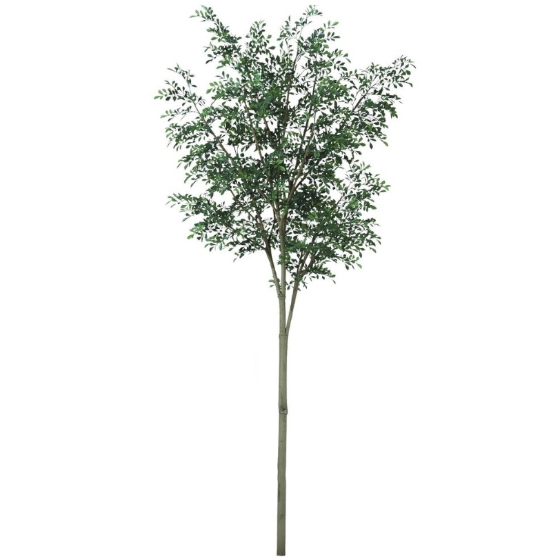 人工観葉植物 トネリコ MIX スタイル FST ツリーベース付 高さ290cm （P34-91714-99405lsb) （代引き不可） インテリアグリーン フェイクグリーン