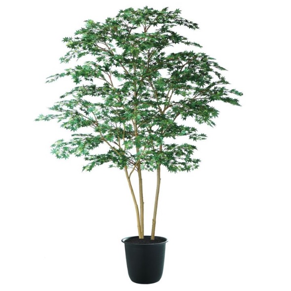 人工観葉草木 ヤマモミジ株立 200 GREEN FST ポット付き添い人 高さ200糎 （P122-91762) （代引っ張ること不可） 室内装飾緑であること フェイクグリーン
