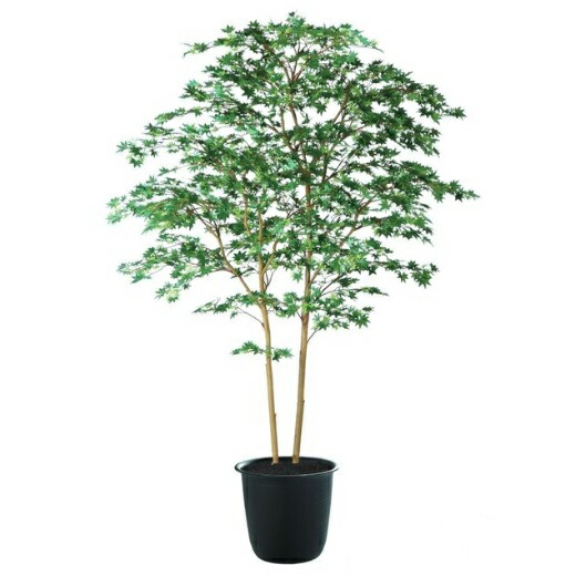 人工観葉草木 ヤマモミジ株立 180 GREEN FST ポット付き添い人 高さ180珊 （P122-91763) （代引っ張ること不可） 室内装飾緑であること フェイクグリーン