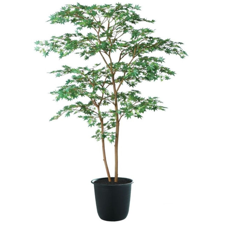 人工観葉草木 ヤマモミジ株立 150 GREEN FST ポット付き添い人 高さ150糎 （P122-91764) （代引っ張ること不可） 室内装飾緑であること フェイクグリーン