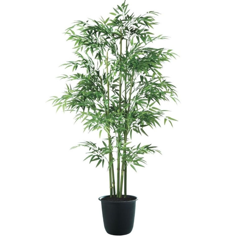 人工観葉植物 青竹 5本立 180 ポット付き 高さ180cm （P127-91784) （代引き不可） インテリアグリーン フェイクグリーン｜人形のゆめさき
