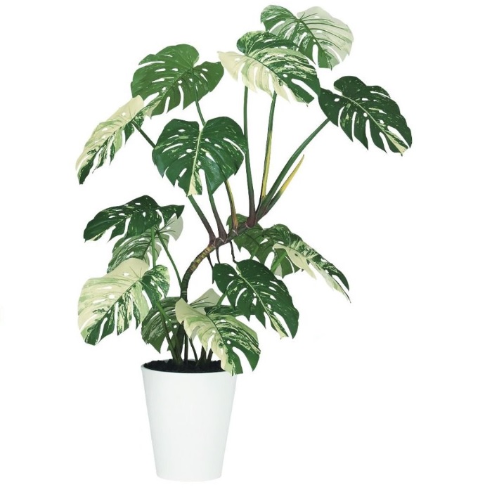 人工観葉植物 ワイルドモンステラ 斑入り 140 ポット付き 高さ140cm (P92-91849) (代引き不可) インテリアグリーン フェイクグリーン|人形のゆめさき