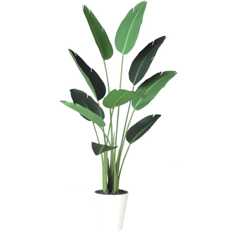 人工観葉植物 オーガスタ 150 ポット付き 高さ150cm (P90-91876) (代引き不可) インテリアグリーン フェイクグリーン|人形のゆめさき