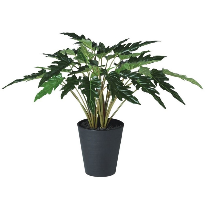 人工観葉植物 クッカバラ ポット付き 高さ50cm （P111-91891) （代引き不可） インテリアグリーン フェイクグリーン｜人形のゆめさき