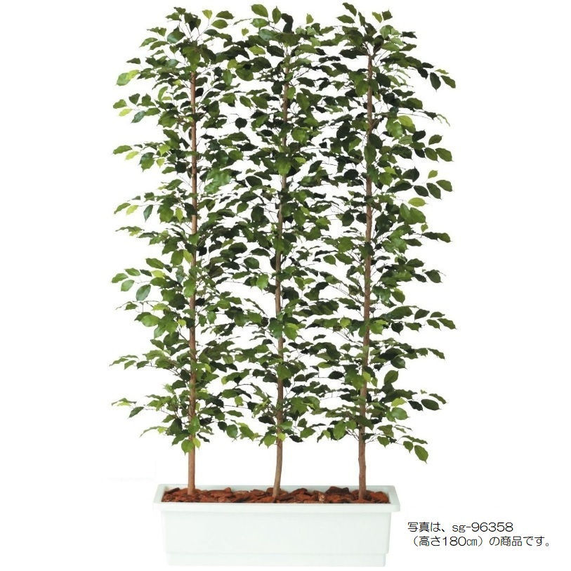 人工観葉草木 フィッカスベンシャミナ 間仕切り 150 natural ポット付き添い人 高さ150糎 （P61-96360) （代引っ張ること不可） 室内装飾緑であること フェイクグリーン