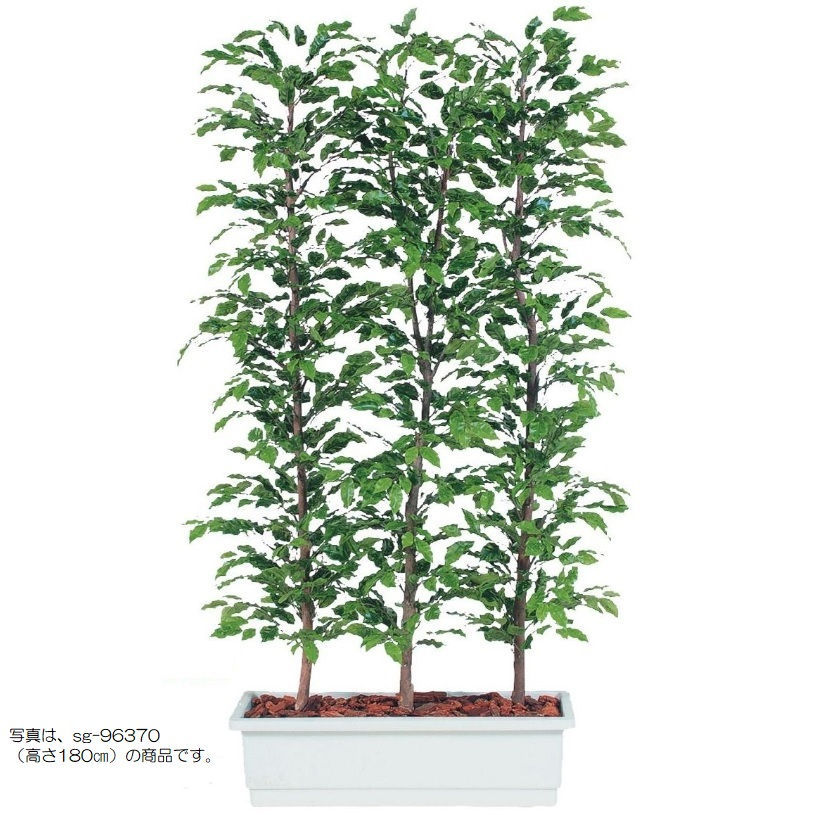 人工観葉草木 ベンシャミナスプラッシュ 間仕切り 150 natural ポット付き添い人 高さ150糎 （P61-96372) （代引っ張ること不可） 室内装飾緑であること フェイクグリーン
