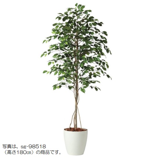人工観葉植物 フィッカスベンシャミナ 200 natural ポット付き 高さ200cm (P57-98517) (代引き不可) インテリアグリーン フェイクグリーン|人形のゆめさき