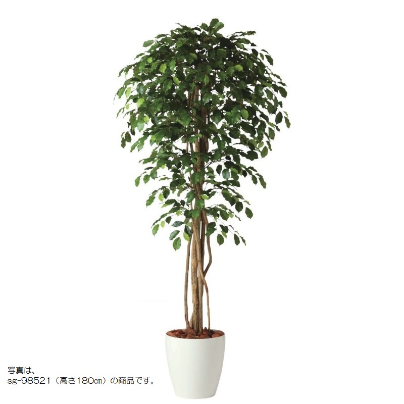 人工観葉草木 フィッカスベンシャミナリアナ 200 natural ポット付き添い人 高さ200糎 （P58-98520) （代引っ張ること不可） 室内装飾緑であること フェイクグリーン