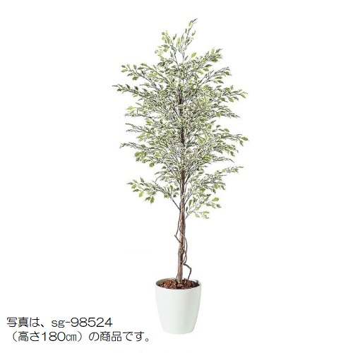 人工観葉植物 ベンジャミナスターライト 200 natural ポット付き 高さ200cm (P57-98523) (代引き不可) インテリアグリーン フェイクグリーン|人形のゆめさき