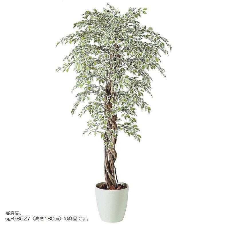 人工観葉草木 ベンジャミナスターライトリアナ 200 natural ポット付き添い人 高さ200糎 （P59-98526) （代引っ張ること不可） 室内装飾緑であること フェイクグリーン
