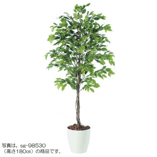人工観葉草木 ベンジャミナスプラッシュ 200 natural ポット付き添い人 高さ200珊 （P57-98529) （代引っ張ること不可） 室内装飾緑であること フェイクグリーン
