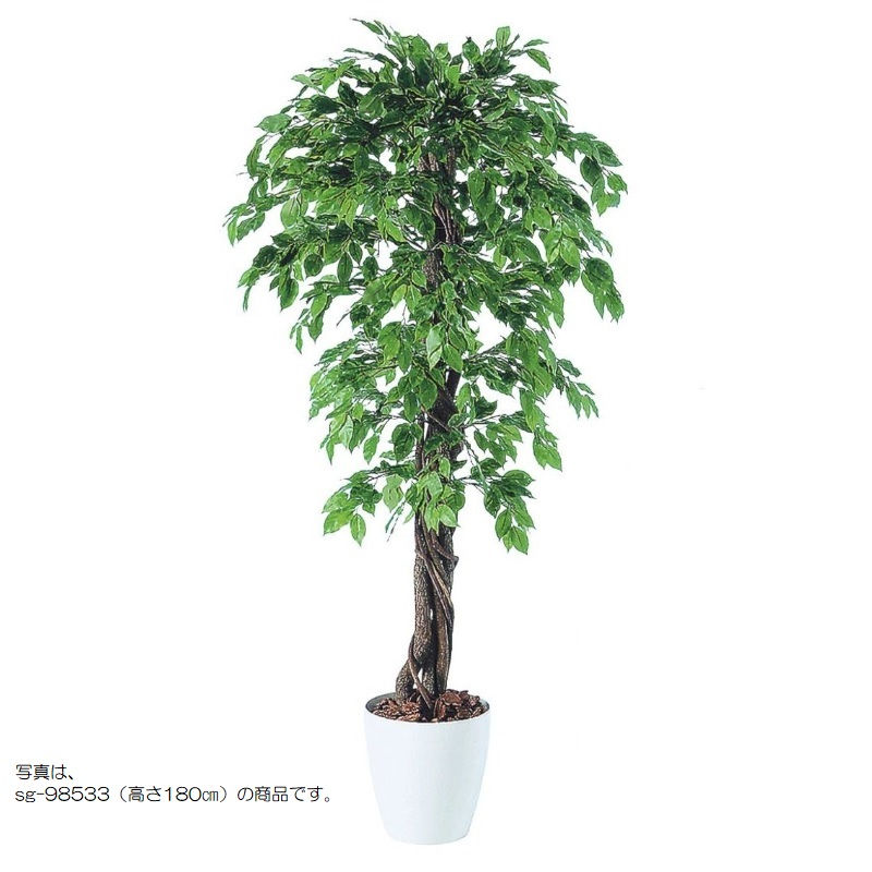 人工観葉草木 ベンシャミナスプラッシュリアナ 200 natural ポット付き添い人 高さ200糎 （P59-98532) （代引っ張ること不可） 室内装飾緑であること フェイクグリーン