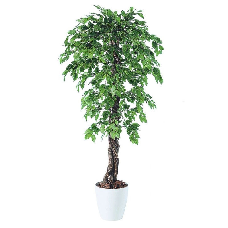 人工観葉草木 ベンシャミナスプラッシュリアナ 180 natural ポット付き添い人 高さ180珊 （P59-98533) （代引っ張ること不可） 室内装飾緑であること フェイクグリーン