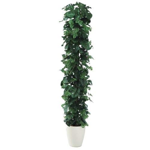 人工観葉植物 ヒメモンステラヘゴ -DX 180 Pole style ポット付き 高さ180cm (P71-98651) (代引き不可) インテリアグリーン フェイクグリーン|人形のゆめさき