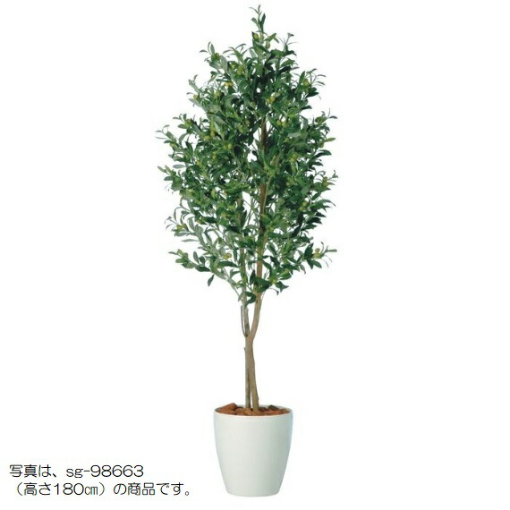 人工観葉草木 ライプオリーブデュアル 200 ポット付き添い人 高さ200糎 （P79-98661) （代引っ張ること不可） 室内装飾緑であること フェイクグリーン