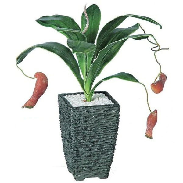 人工観葉植物 ウツボカズラ ポット付き 高さ35cm （P113-98831) （代引き不可） インテリアグリーン フェイクグリーン