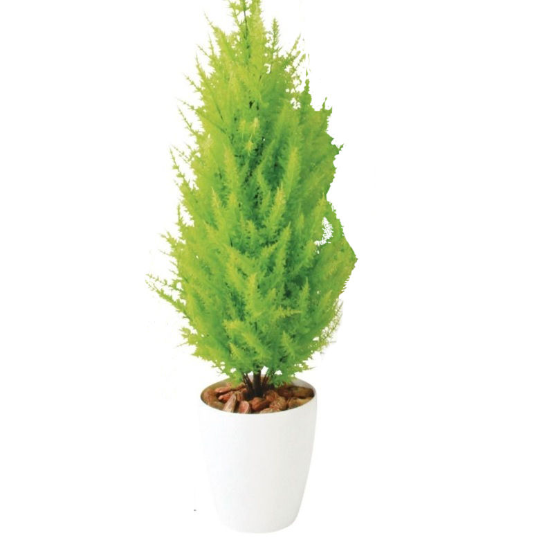 人工観葉植物 ゴールドクレストツリー 110 ポット付き 高さ110cm （P81-98838) （代引き不可） インテリアグリーン フェイクグリーン｜人形のゆめさき