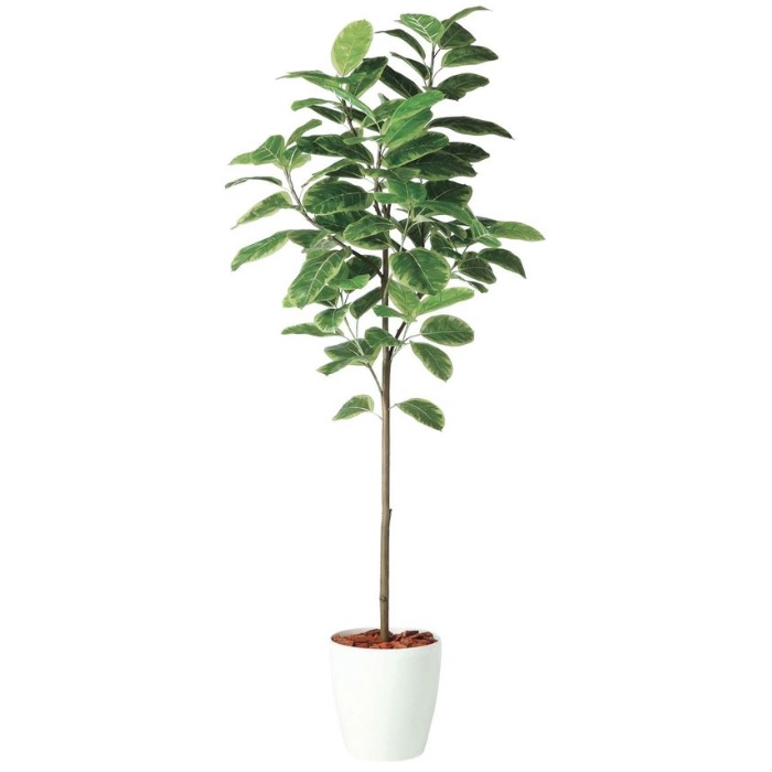 人工観葉植物 アルテシマ FST 200 ポット付き 高さ200cm （P49-98926) （代引き不可） インテリアグリーン フェイクグリーン 51,240円