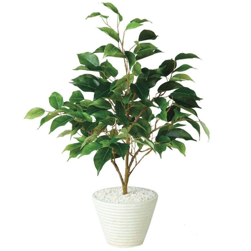 人工観葉植物 テーブル ベンジャミン ポット付き 高さ55cm （P107-98962) （代引き不可） インテリアグリーン フェイクグリーン｜人形のゆめさき