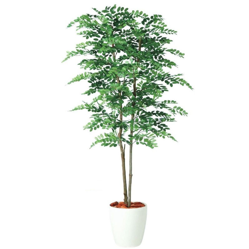 人工観葉植物 アカシアデュアル 180 ポット付き 高さ180cm (P80-98977) (代引き不可) インテリアグリーン フェイクグリーン|人形のゆめさき