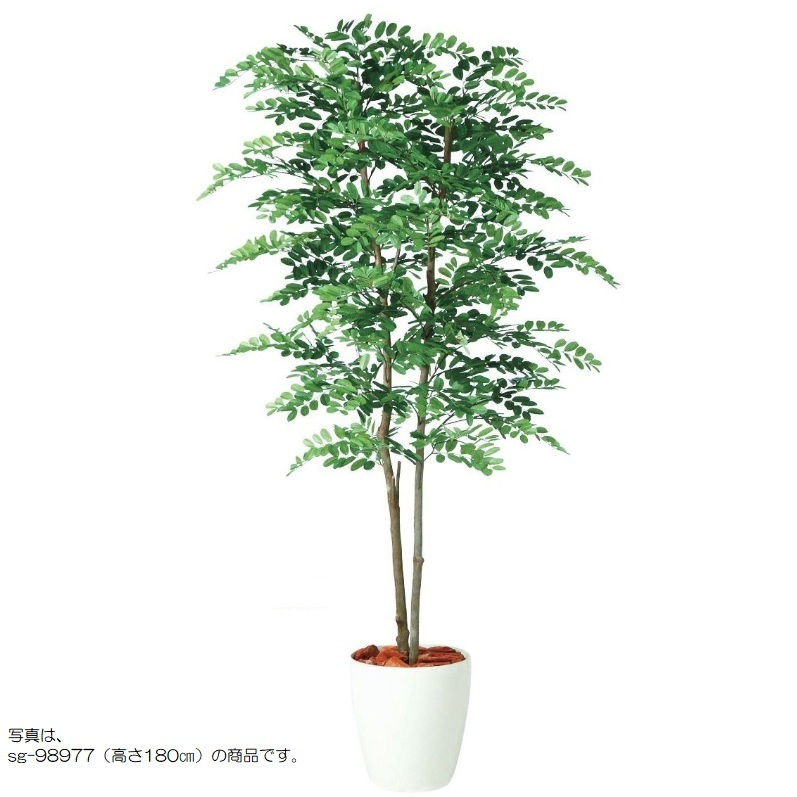 人工観葉植物 アカシアデュアル 150 ポット付き 高さ150cm （P80-98979) （代引き不可） インテリアグリーン フェイクグリーン