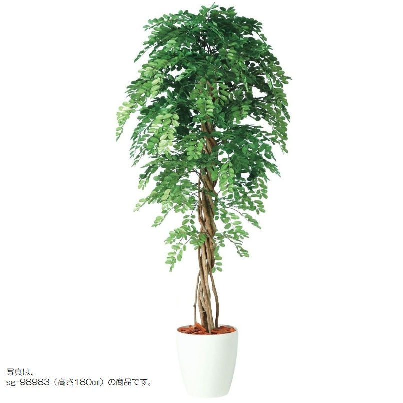 人工観葉草木 アカシアリアナ 200 ポット付き添い人 高さ200糎 （P80-98981) （代引っ張ること不可） 室内装飾緑であること フェイクグリーン