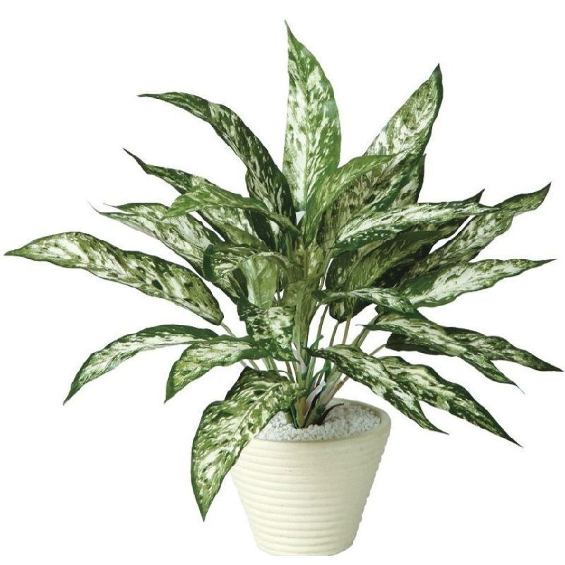 楽天市場】人工観葉植物 ソング・オブ・インディア FST 150 楽天市場】人工観葉植物 ソング・オブ・インディア FST 150