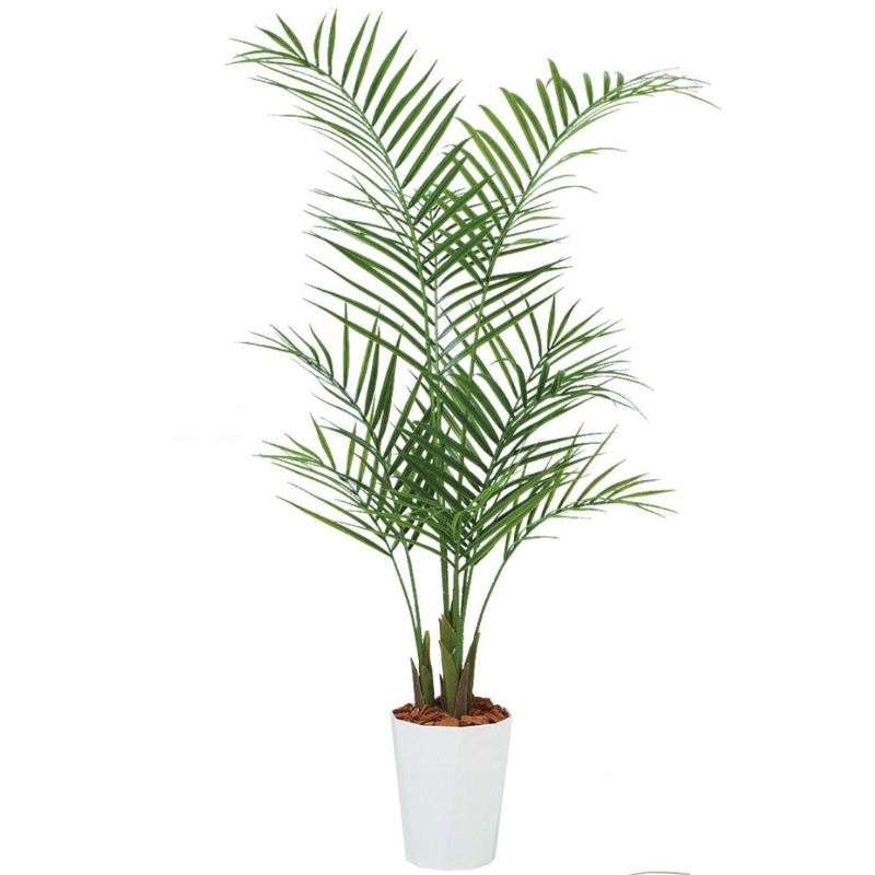 人工観葉植物 アカシヤシ PE 130 ポット付き 高さ130cm （P85-99159) （代引き不可） インテリアグリーン フェイクグリーン