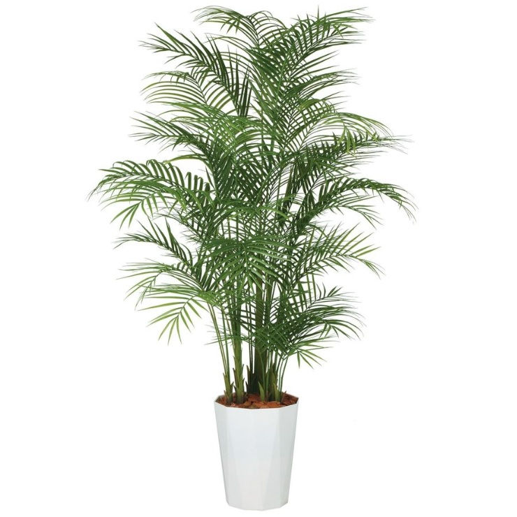 人工観葉植物 アカシヤシ PE MIX 220 ポット付き 高さ220cm （P84-99162) （代引き不可） インテリアグリーン フェイクグリーン