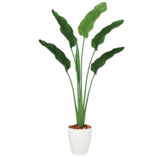 人工観葉植物 ストレチア・オーガスタ 160 ポット付き 高さ160cm (P89-99166) (代引き不可) インテリアグリーン フェイクグリーン|人形のゆめさき