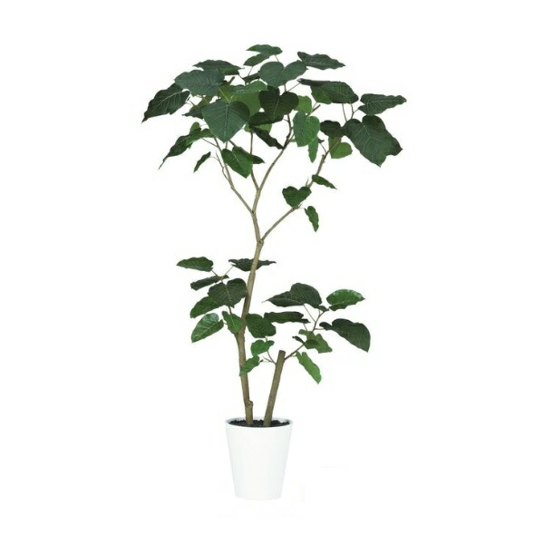 人工観葉植物 HQ ウンベラータ FST 2本立 150 ポット付き 高さ150cm (P40-99327) (代引き不可) インテリアグリーン フェイクグリーン|人形のゆめさき