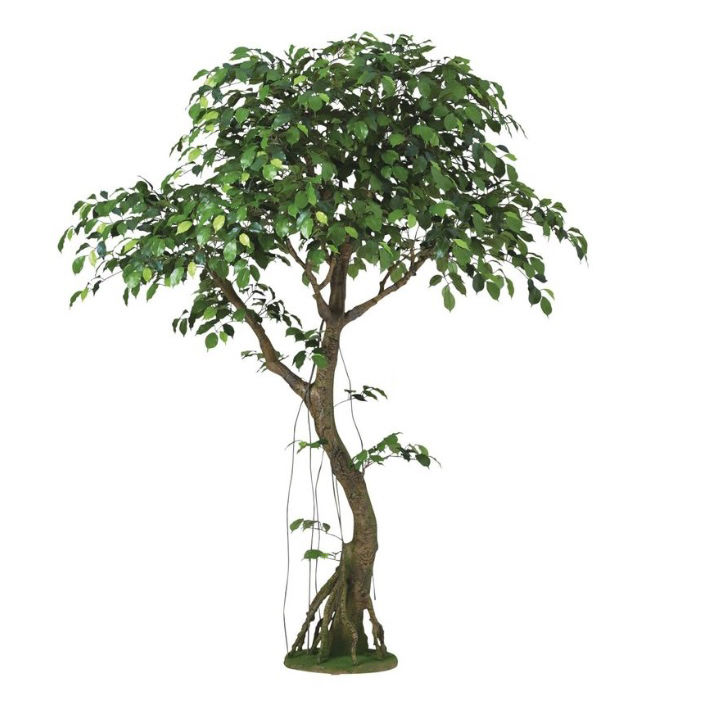 人工観葉植物 フィッカスベンシャミナ コアッド 230 ポット付き 高さ230cm （P13-99353) （代引き不可） インテリアグリーン フェイクグリーン