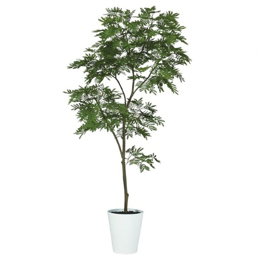 人工観葉植物 エバーフレッシュ FST 180 ポット付き 高さ180cm （P74-99379) （代引き不可） インテリアグリーン フェイクグリーン｜人形のゆめさき