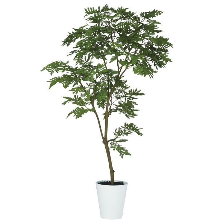 人工観葉草木 エバーフレッシュ FST 150 ポット付き添い人 高さ150珊 （P74-99380) （代引っ張ること不可） 室内装飾緑であること フェイクグリーン