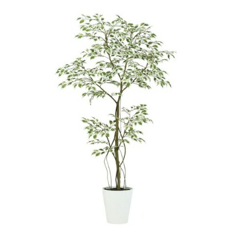 【楽天市場】人工観葉植物 スターライト FST 150 ポット付き 高さ150cm （P55-99393) （代引き不可） インテリアグリーン ...