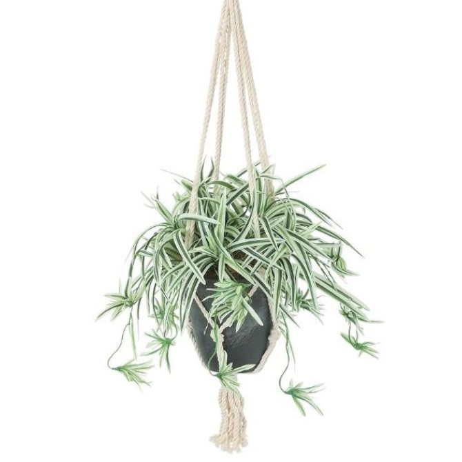 人工観葉植物 オリヅルラン W/G ハンキング ポット付き 高さ25&times;長さ30（総全長約75）cm （P117-99546) （代引き不可） インテリアグリーン フェイクグリーン｜人形のゆめさき