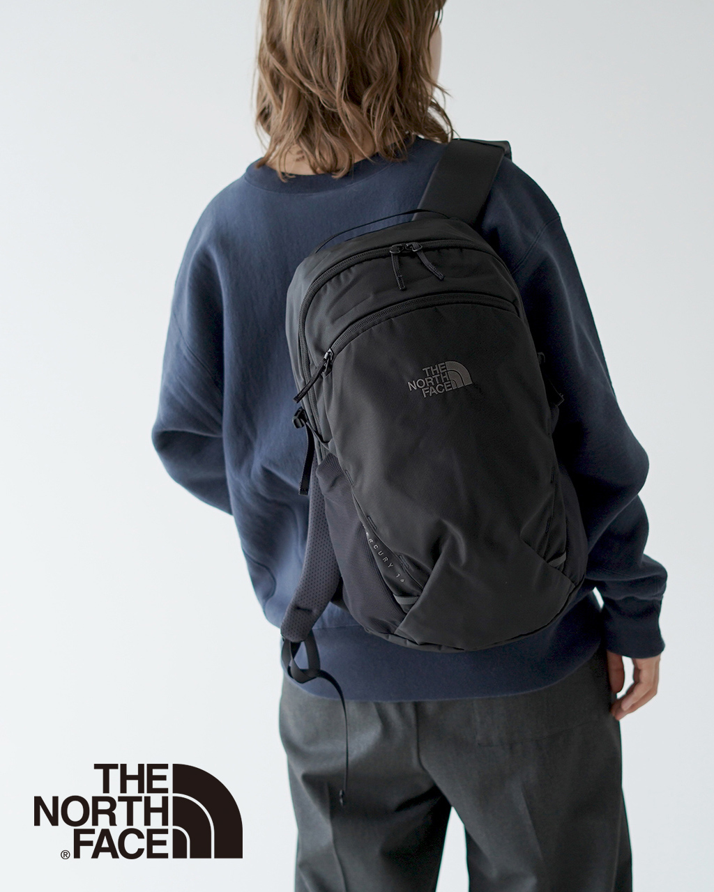 楽天市場】ノースフェイス THE NORTH FACE ジェミニ 22 Gemini 22L 