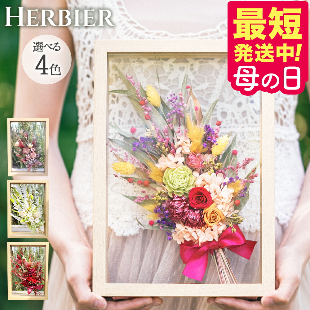 プリザーブドフラワー ガラス フレーム 母の日 花 送料無料 プレゼント 2026 【最短翌日配達★15時〆】 送別 ギフト 誕生日 活きた絵画 写真印刷カード無料 バラ 玄関 そのまま飾れる おしゃれ インテリア 花束 お祝 ブリザードフラワー 開店祝い