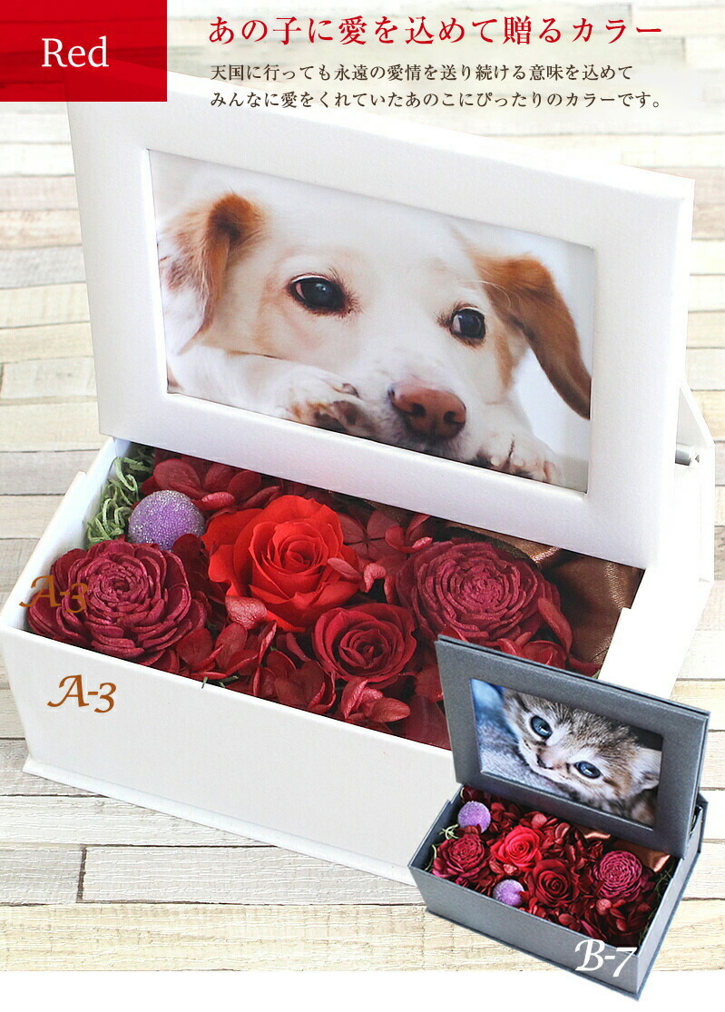 あす楽15時まで プリザーブドフラワー犬 お悔やみ 初盆 お盆 贈り物 お供え ペット 仏花 プレゼント ギフト かわいい 写真立て フォト L版 花 アレンジメント 猫 ウサギ 線香 ろうそく 枯れない花 初盆 お盆の花 法要 3回忌 7回忌メッセージ Duoclindermato Uro Com Br あす楽15時まで プリザーブドフラワー犬 お悔やみ 初盆 お盆 贈り物 お供え ペット 仏花 プレゼント ギフト かわいい 写真立て フォト L版 花 アレンジメント 猫 ウサギ 線香 ろうそく 枯れない花 初盆 お盆の花 法要 3回忌 7回忌メッセージ Duoclindermato Uro Com Br