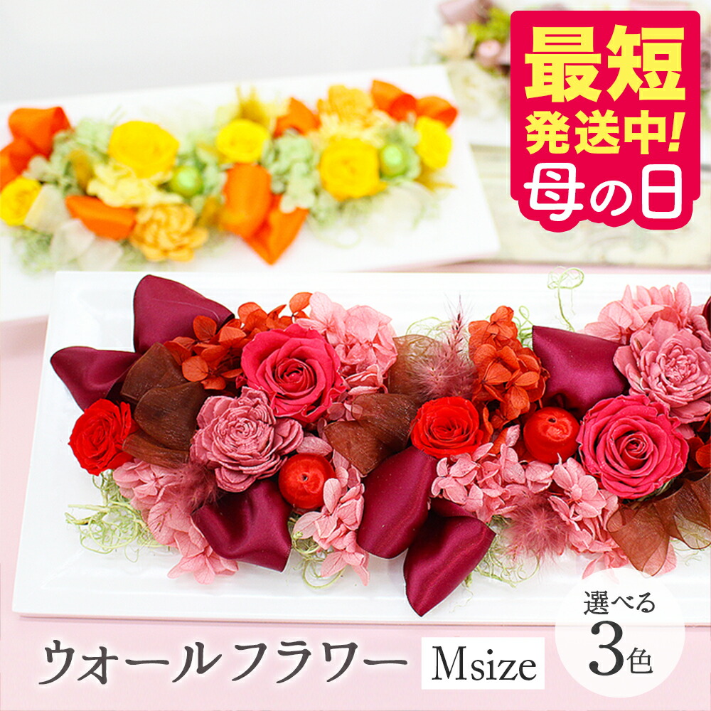 プリザーブドフラワー アレンジメント ウォールフラワー 母の日 花 送料無料 プレゼント 2026 【最短翌日配達★15時〆】 送別 ギフト 誕生日 壁掛け クリアケース付 結婚祝い バラ 勲章 受賞 記念 叙勲 新築 還暦祝い 古希 米寿 メッセージ 写真付き