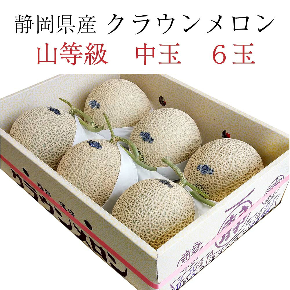 【送料無料】静岡クラウンメロン 山等級 1.3kg前後 6玉 ガラス温室栽培 化粧箱入り静岡県産(日時指定OK)