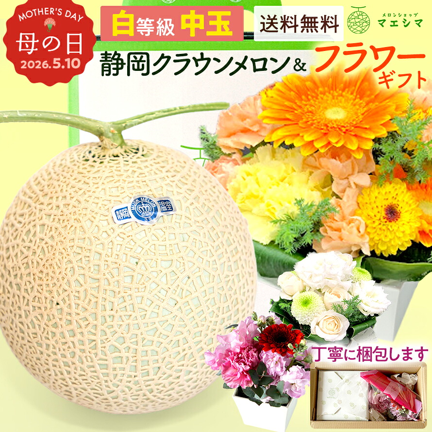 【送料無料】静岡クラウンメロン×フラワーアレンジメント (クラウンメロン白等級 1.3kg前後 1玉 (静岡県産) )ガラス温室栽培(日時指定OK)