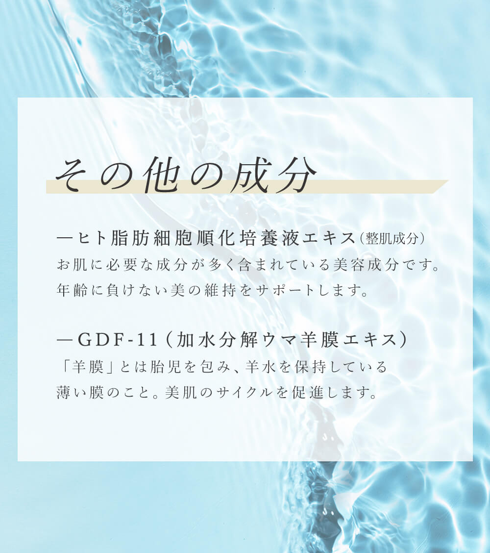 その他の成分