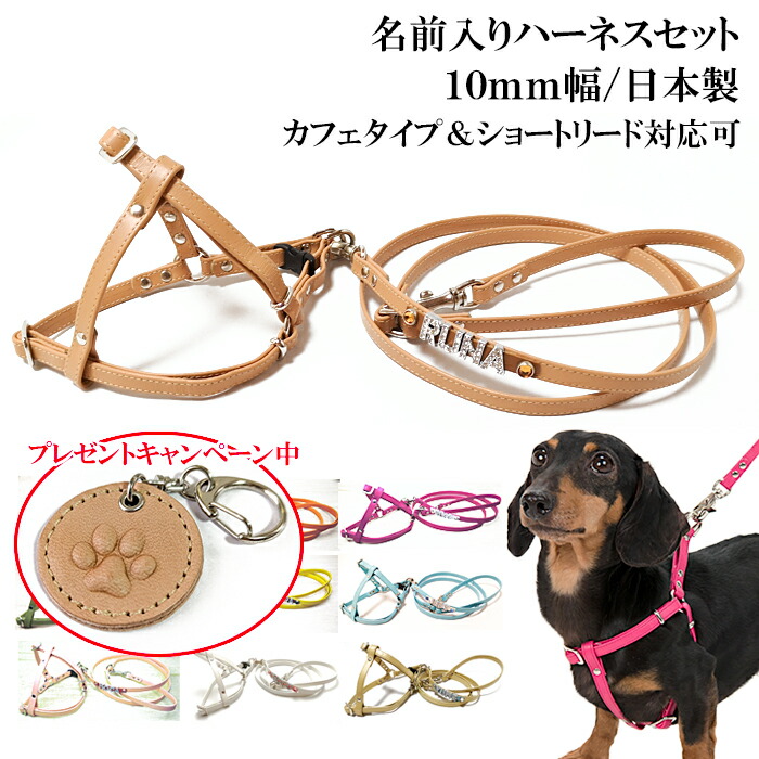 フリースティッチ ヌメ革 ハーフチョー リード セットカー 犬
