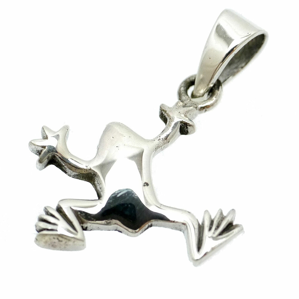 シルバー925 カエル ペンダントトップ メンズ M3 ネックレス用 フロッグ 蛙 青 レディース シルバーアクセサリー 夏 サマー Educaps Com Br