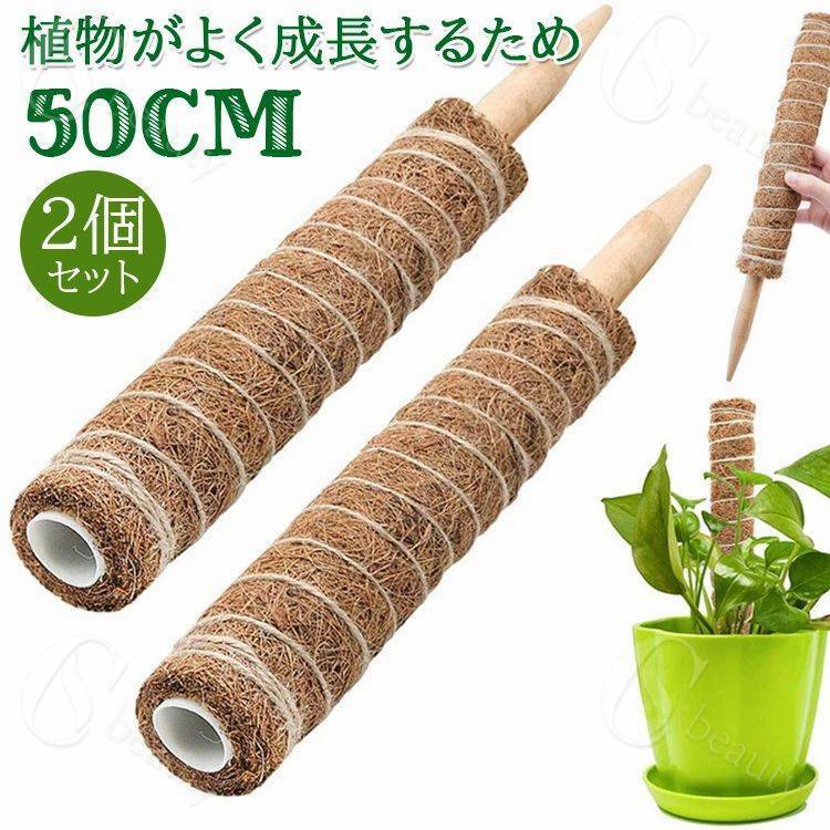 【楽天市場】2個セット 園芸 支柱 50cm おしゃれ 植物支柱 ガーデン ココナッツ 支え ガーデニング用支柱 観葉支柱 登山植物つる 高さ