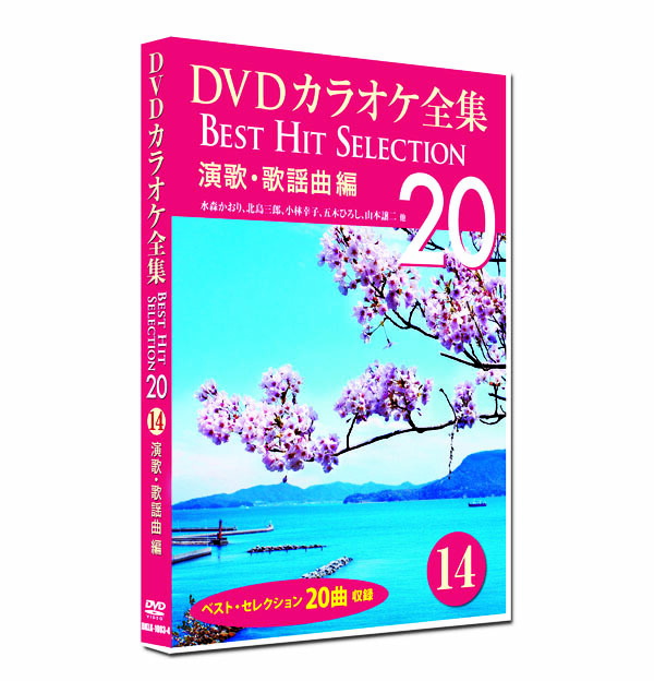 楽天市場】新品 DVD カラオケ全集29 BEST HIT SELECTION 演歌
