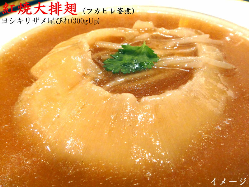 フカヒレ 冷凍 業務用排翅 ヨシキリザメ尾びれ 超特大（300gUp）328g 1枚 ふかひれ姿煮